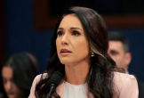 Giám đốc Tình báo Quốc gia Mỹ Tulsi Gabbard từ chức