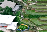 Hơn 100 công an băng rừng, dùng flycam theo dõi, bắt ổ nhóm ma túy hoạt động kiểu dòng họ