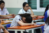 'Choáng' vì từ vựng khó trong đề thi thử tiếng Anh