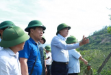 Nghệ An huy động lực lượng dập tắt cháy rừng ở Thiên Nhẫn