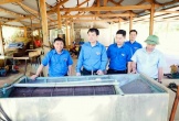 Phê duyệt 09 cộng đồng dân cư thuộc Tổng đội Thanh niên xung phong 8 Nghệ An hưởng lợi từ nguồn thu ERPA