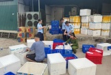 Khởi tố giám đốc sản xuất hàng chục nghìn sản phẩm nem chua rán giả