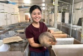 Cặp vợ chồng ở Nghệ An về quê nuôi con “ngủ ngày cày đêm” lãi hàng trăm triệu đồng