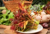 Loại cây quen thuộc ở Việt Nam được nước ngoài 