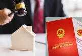 Từ ngày 31/8, người sử dụng đất không làm thủ tục này có thể bị xử phạt từ 2 - 3 triệu đồng