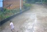 Nghe tiếng động lạ trên sườn đồi, cụ bà vội bỏ chạy