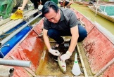 Nghệ An kiểm tra, lấy mẫu xác định nguyên nhân cá chết bất thường trên sông Lam