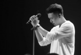 Anh tài 