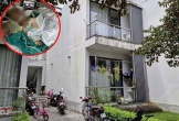 Vụ bé 3 tuổi hôn mê sau buổi học can thiệp ở Thanh Hóa: Cô giáo làm gì vào buổi trưa xảy ra sự việc?