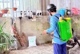 Xuất hiện ổ dịch sốt xuất huyết Dengue ở Hà Tĩnh